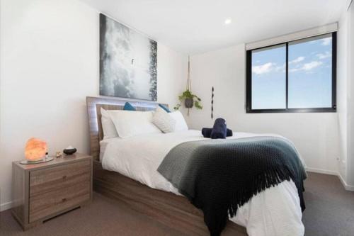 Inner City 1 Bedroom Apartment With Rooftop Pool And Parking - Serain Residences Brisbane Zewnętrze zdjęcie